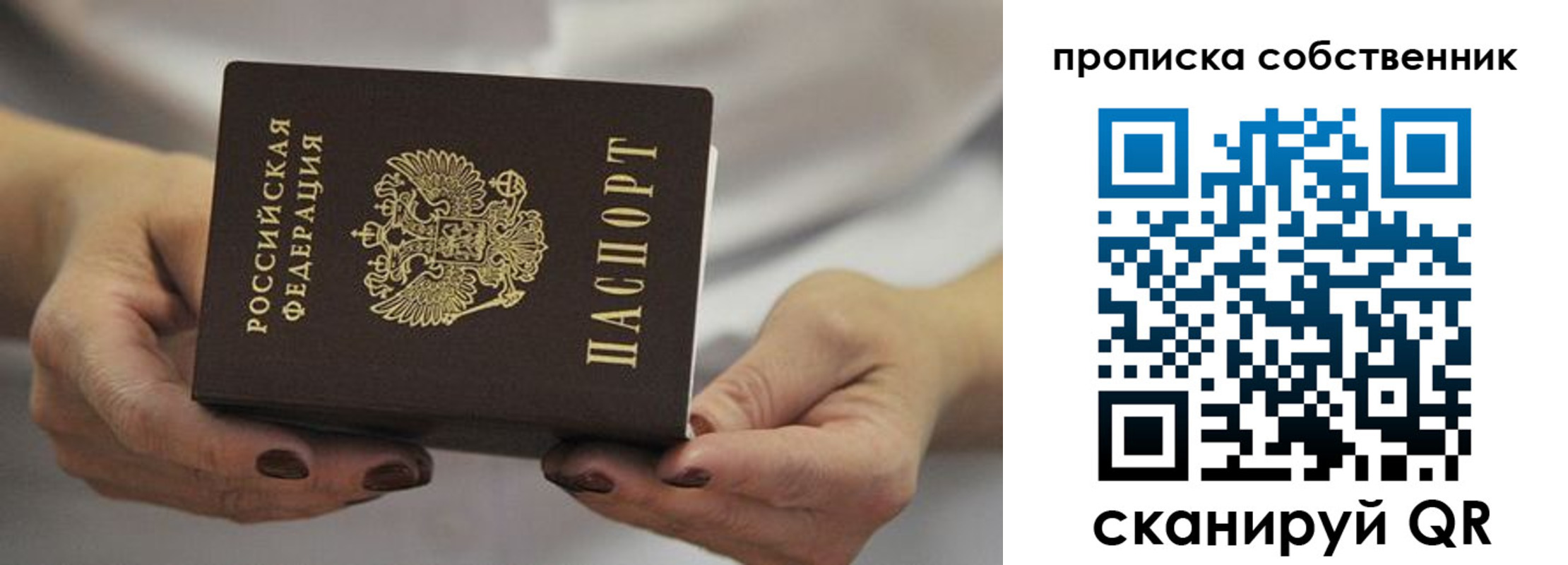 прописка поиск в Сафоново